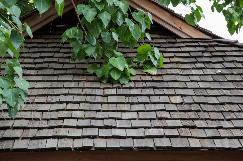 roof-cedar-shake-shingles